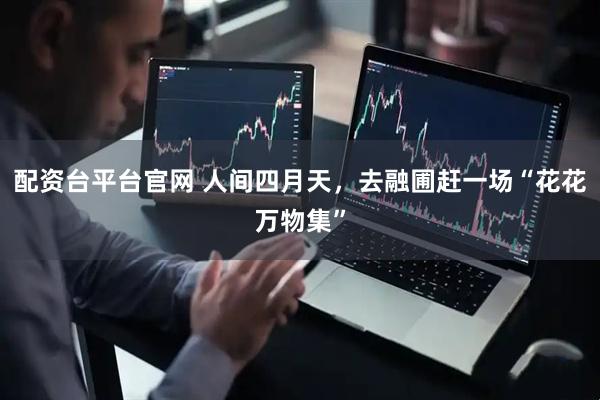 配资台平台官网 人间四月天，去融圃赶一场“花花万物集”